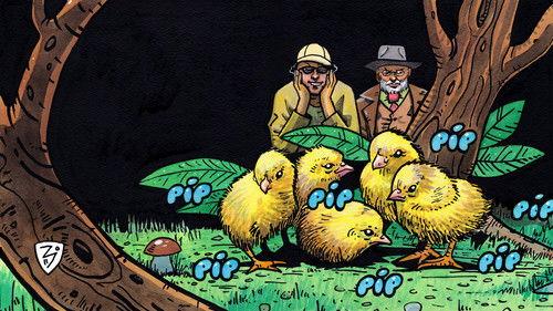 Na houby Season 1 Episode 9 - Episode 9