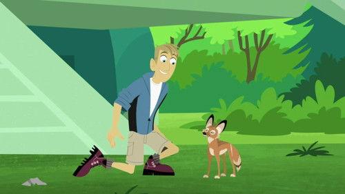 Wild Kratts Season 6 Episode 16 - Adapto the Coyote
