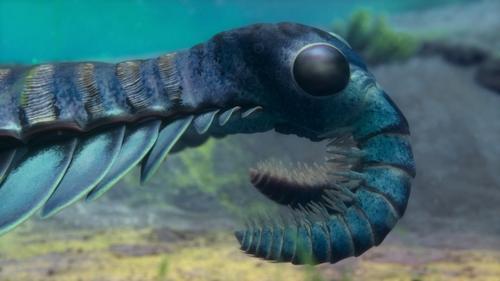 Life on Our Planet Season 1 Episode 2 - Chapter 2: The First Frontier