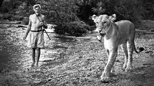 Natural World Season 30 Episode 10 - Elsa: The Lioness That Changed The World
