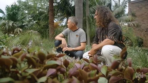 Gardening Australia Season 32 Episode 22 - Episode 22 Cherry Blossom Delight & Rooftop Gardens