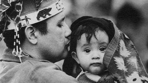 POV Season 4 Episode 5 - Honorable Nations