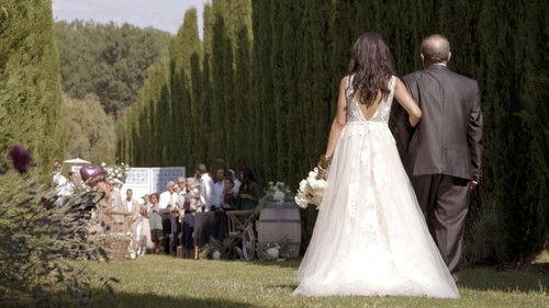 37 Grad Season 28 Episode 23 - Episode 23