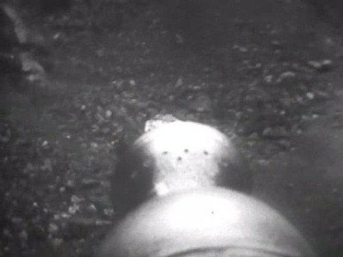 Doctor Who Season 6 Episode 21 - The Krotons (3)