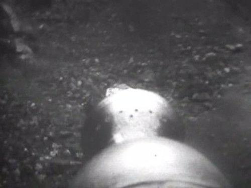 Doctor Who Season 6 Episode 21 - The Krotons (3)