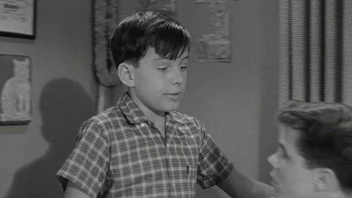 Leave It to Beaver Season 4 Episode 16 - Ward's Millions