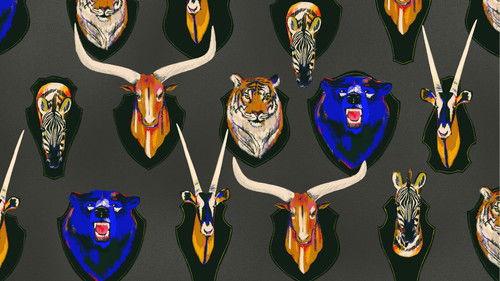 Enquête Season 19 Episode 16 - Episode 16