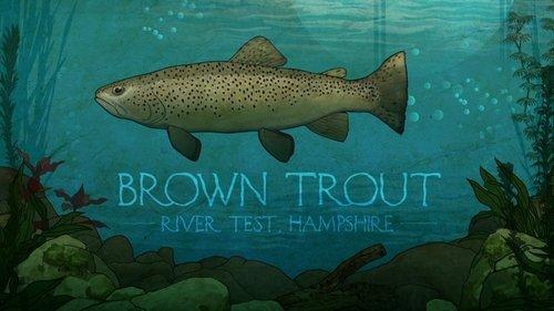 Mortimer & Whitehouse: Gone Fishing Season 3 Episode 4 - Brown Trout: River Test, Hampshire