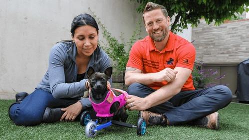 The Wizard of Paws Season 4 Episode 7 - We Love Roo