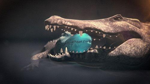 Animal Fight Night Season 4 Episode 2 - Africa's Deadliest