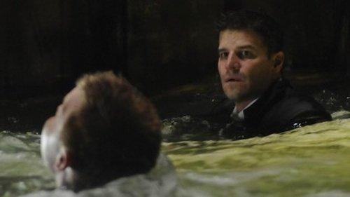 Bones Season 4 Episode 14 - The Hero in the Hold