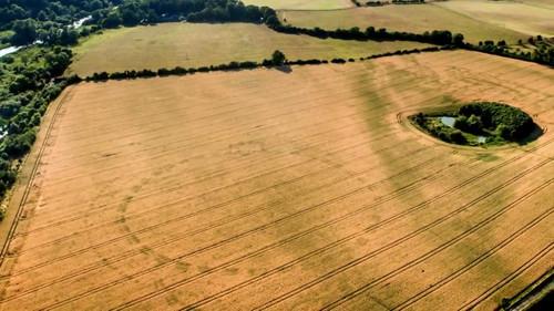 What on Earth? Season 5 Episode 9 - Phantoms in the Chamber of Secrets