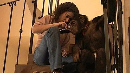 Monkey Business Season 7 Episode 11 - Episode 11