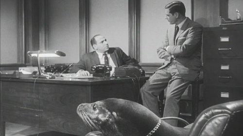 Peter Gunn Season 1 Episode 17 - Let's Kill Timothy
