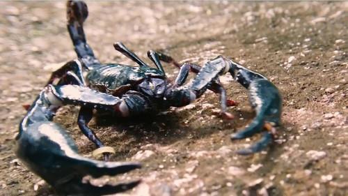 Race of life Season 1 Episode 3 - The Great Desert Race