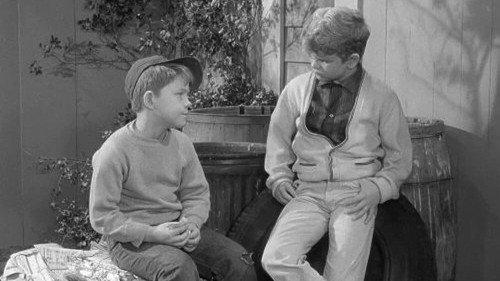 undefined Season 3 Episode 21 - Opie and the Spoiled Kid