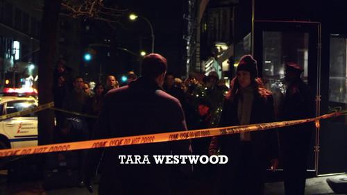 Blue Bloods Season 1 Episode 20 - All That Glitters