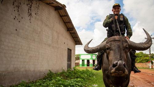 The Island Diaries Season 4 Episode 3 - Marajo