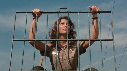 CHiPs Season 5 Episode 14 - Tiger in the Streets