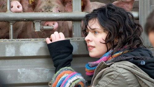 Polizeiruf 110 Season 38 Episode 1 - Schweineleben