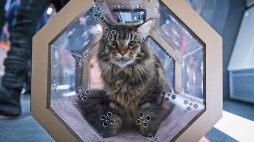 undefined Season 4 Episode 6 - Stormy Weather