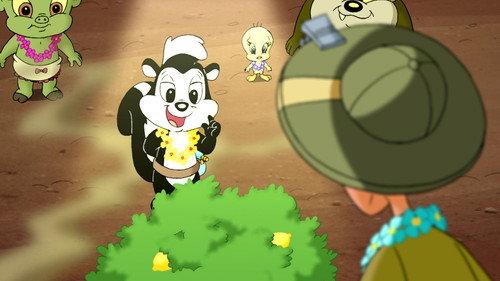 Baby Looney Tunes Season 2 Episode 25 - Stop and Smell Up The Flowers