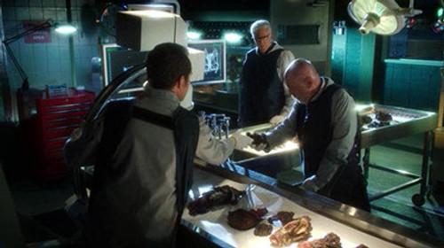 CSI: Crime Scene Investigation Season 13 Episode 10 - Risky Business Class