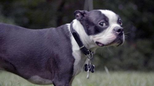 Trackers Season 1 Episode 2 - Finding Hope