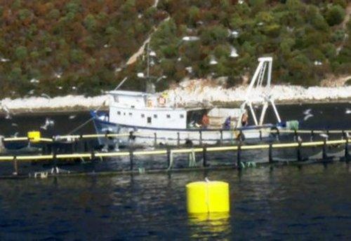 Anthony Bourdain: No Reservations Season 8 Episode 3 - Croatian Coast