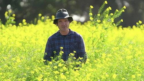 Gardening Australia Season 32 Episode 14 - Episode 14 Raised Beds, Highland Oasis & Flowers 101