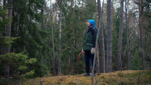 Snow Dreams Season 1 Episode 15 - Episode 15