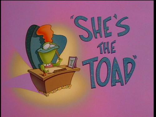 Rocko's Modern Life Season 2 Episode 5 - She's the Toad