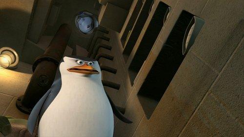 The Penguins of Madagascar Season 1 Episode 45 - Jiggles