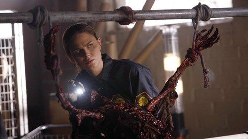 undefined Season 1 Episode 15 - Two Bodies in the Lab