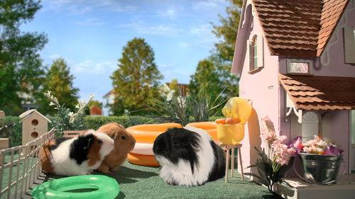 Cochon dingue Season 3 Episode 24 - Episode 24