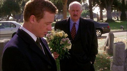 The Guardian Season 1 Episode 12 - Causality