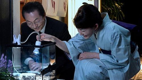 undefined Season 20 Episode 5 - Episode 5