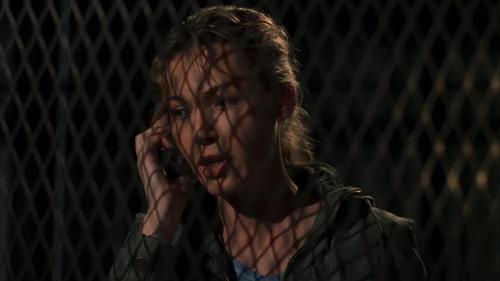 Law & Order: Special Victims Unit Season 8 Episode 5 - Confrontation