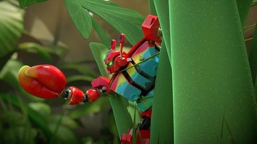 Larva Season 4 Episode 6 - Episode 6