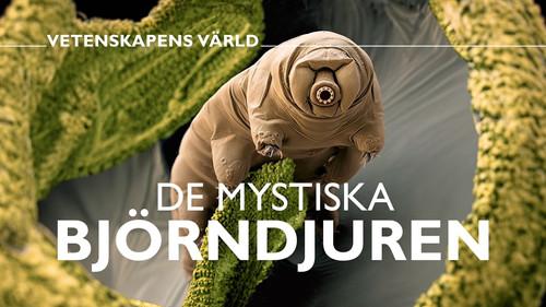 Vetenskapens värld Season 50 Episode 23 - Episode 23