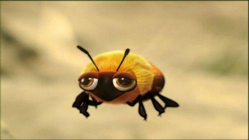 Minuscule: The Private Life of Insects Season 1 Episode 6 - Sleeping In