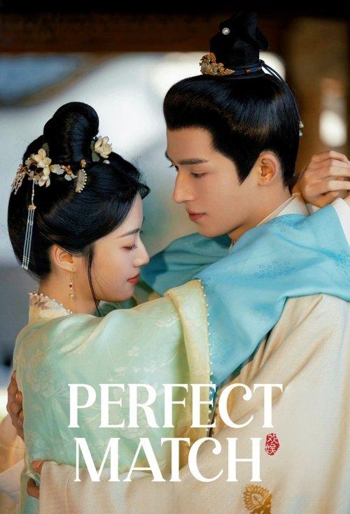 Perfect Match poster