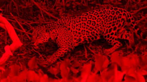 The investigation was conducted Season 14 Episode 7 - Episode 7