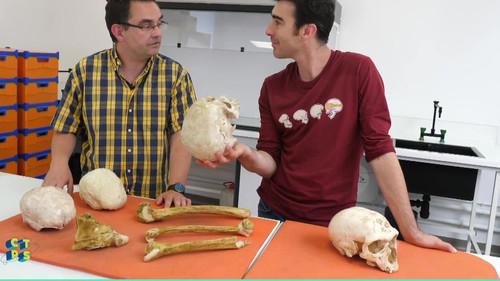 C'est toujours pas sorcier Season 1 Episode 11 - Episode 11