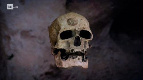 Ulisse - Il piacere della scoperta Season 22 Episode 5 - Neanderthal - L'enigma della sua scomparsa