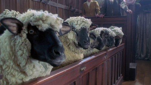 undefined Season 1 Episode 3 - Part 3