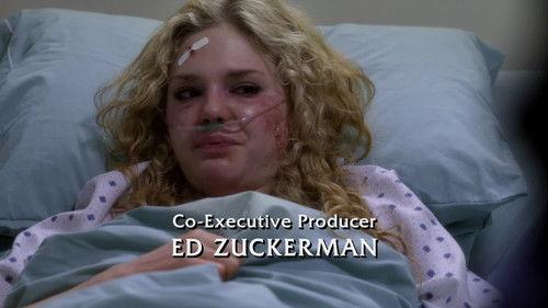 Law & Order Season 19 Episode 13 - Crimebusters