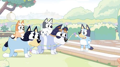 Bluey Season 1 Episode 9 - Horsey Ride