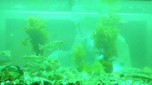 Hellfjord Season 1 Episode 6 - Episode 6