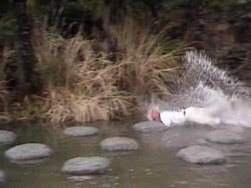 MXC Season 5 Episode 5 - Sexual Pioneers vs. The World of Violent Films